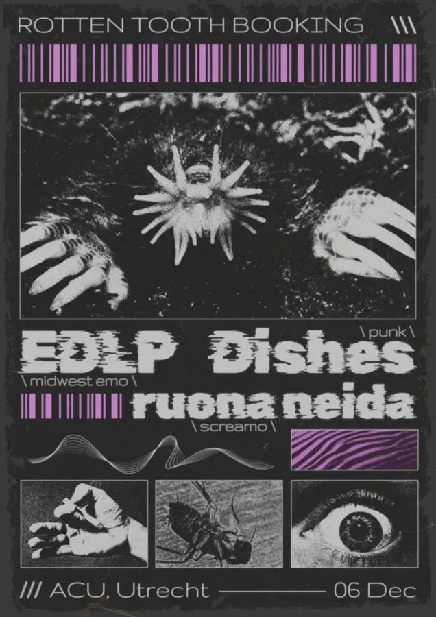 EDLP & Dishes & ruona neida