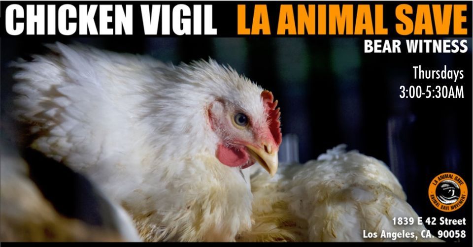 LA Animal Save Chicken Vigils