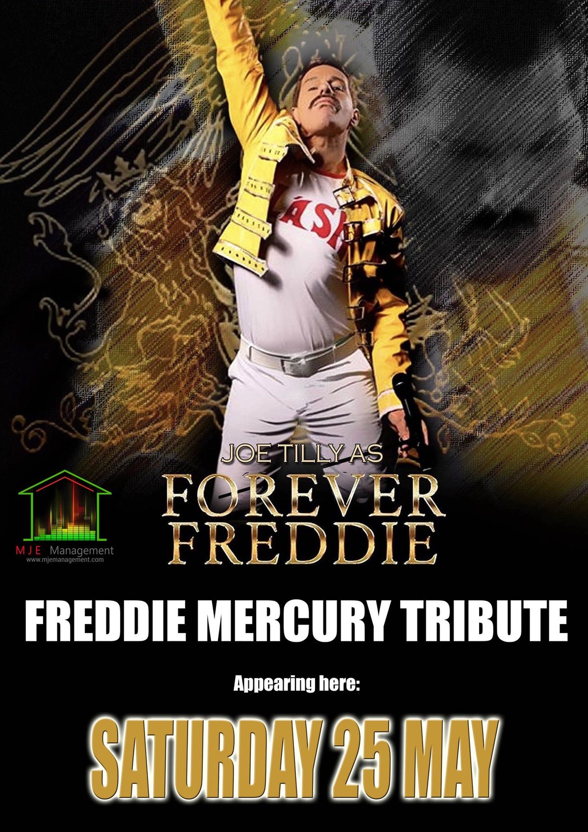 Freddie Mercury tribute night