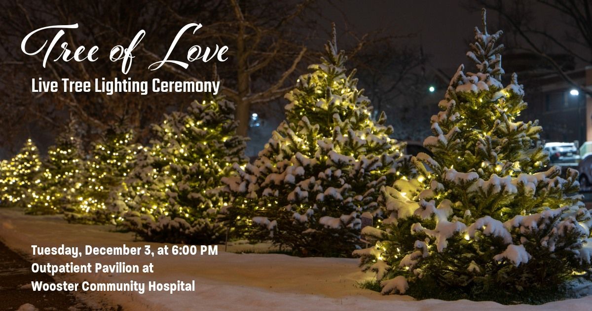 Tree of Love - Lighting Ceremony