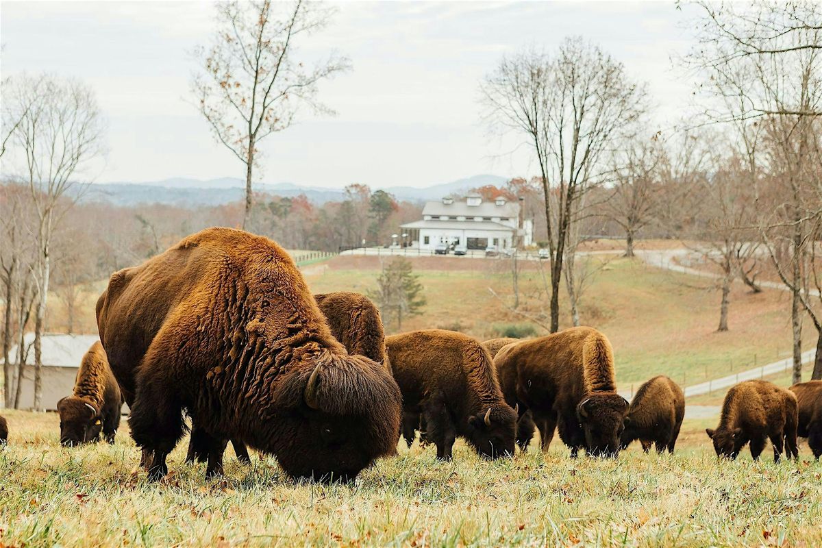 KC Bison Ranch Inaugural Winter Bison Dinner with Doghobble Wine Farm ...