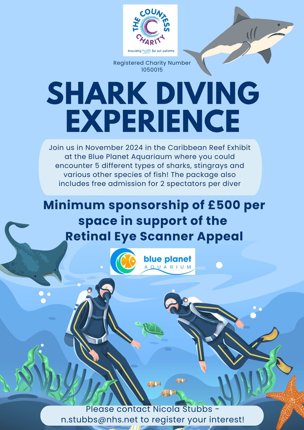 Shark Diving Experience