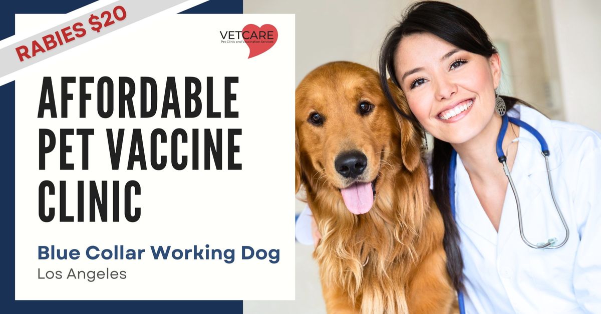 Affordable Pet Vaccine Clinic- Blue Collar Working Dog