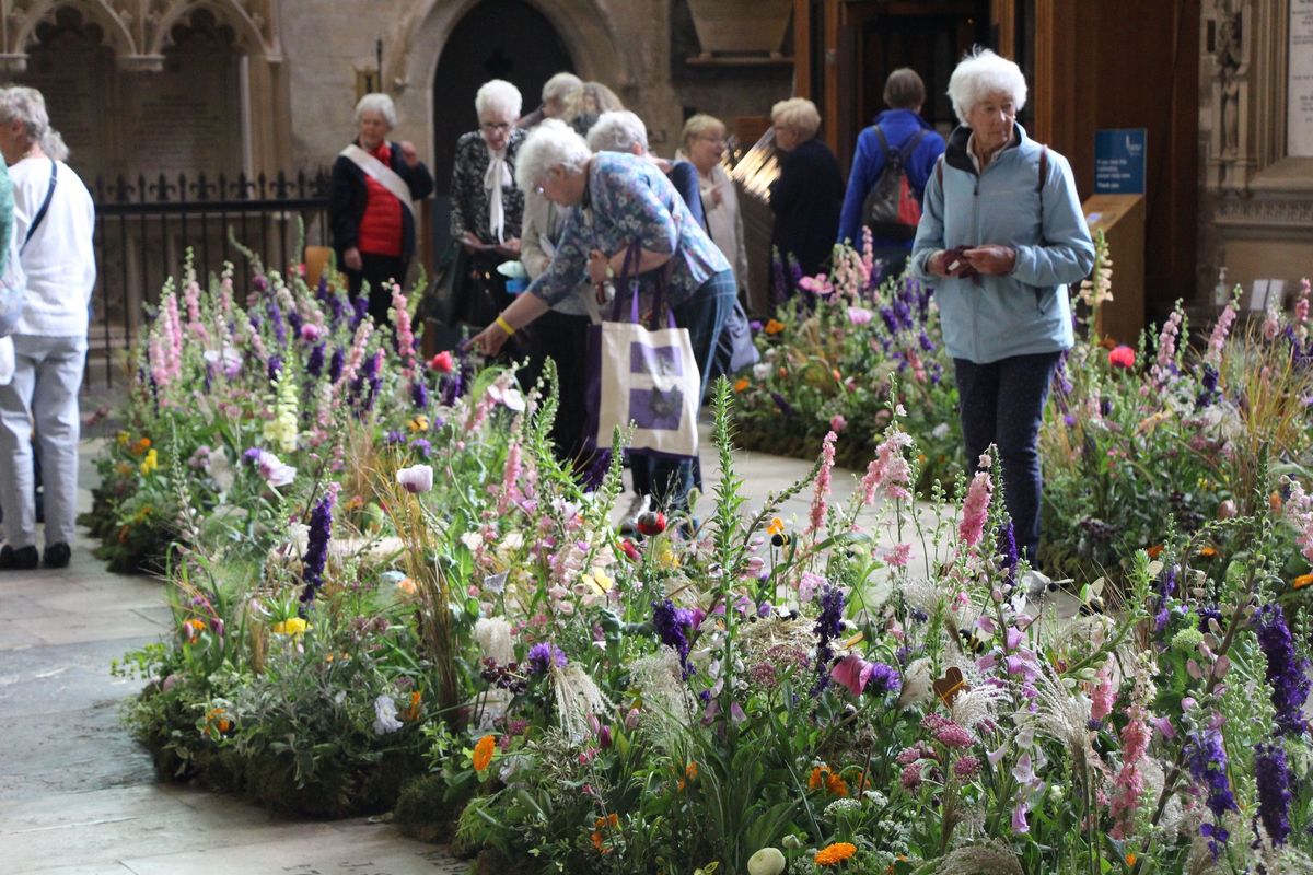 Salisbury Flower Festival & Free time