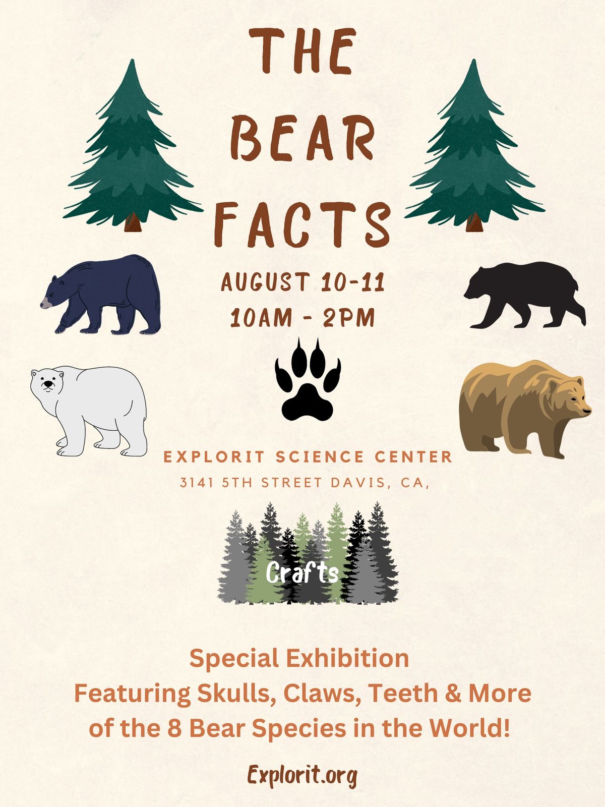 The Bear Facts
