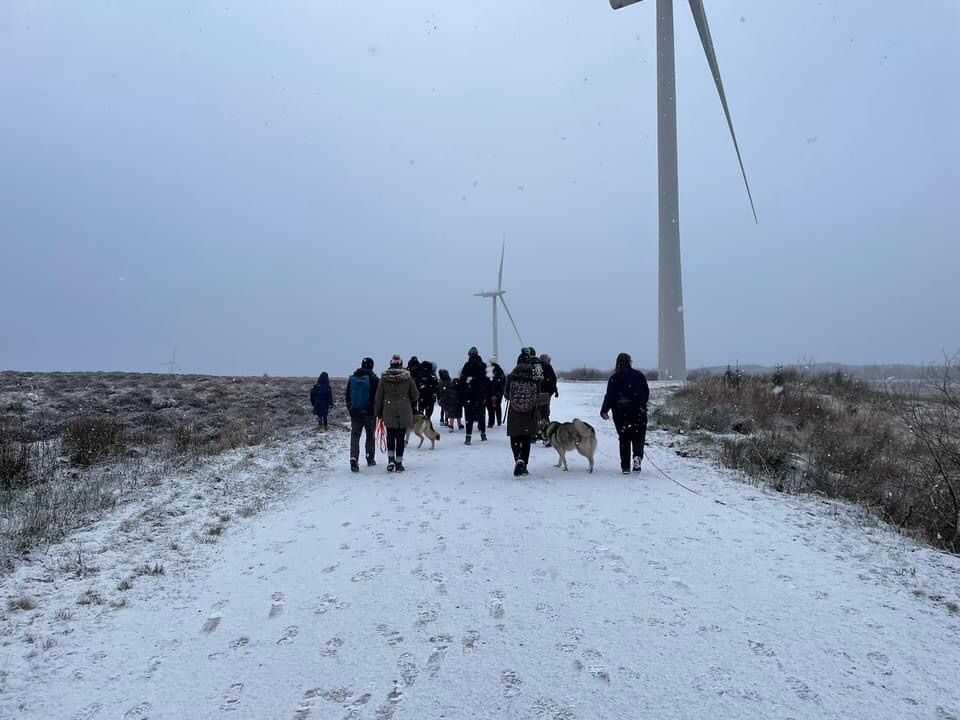 Wind Farm Wander 