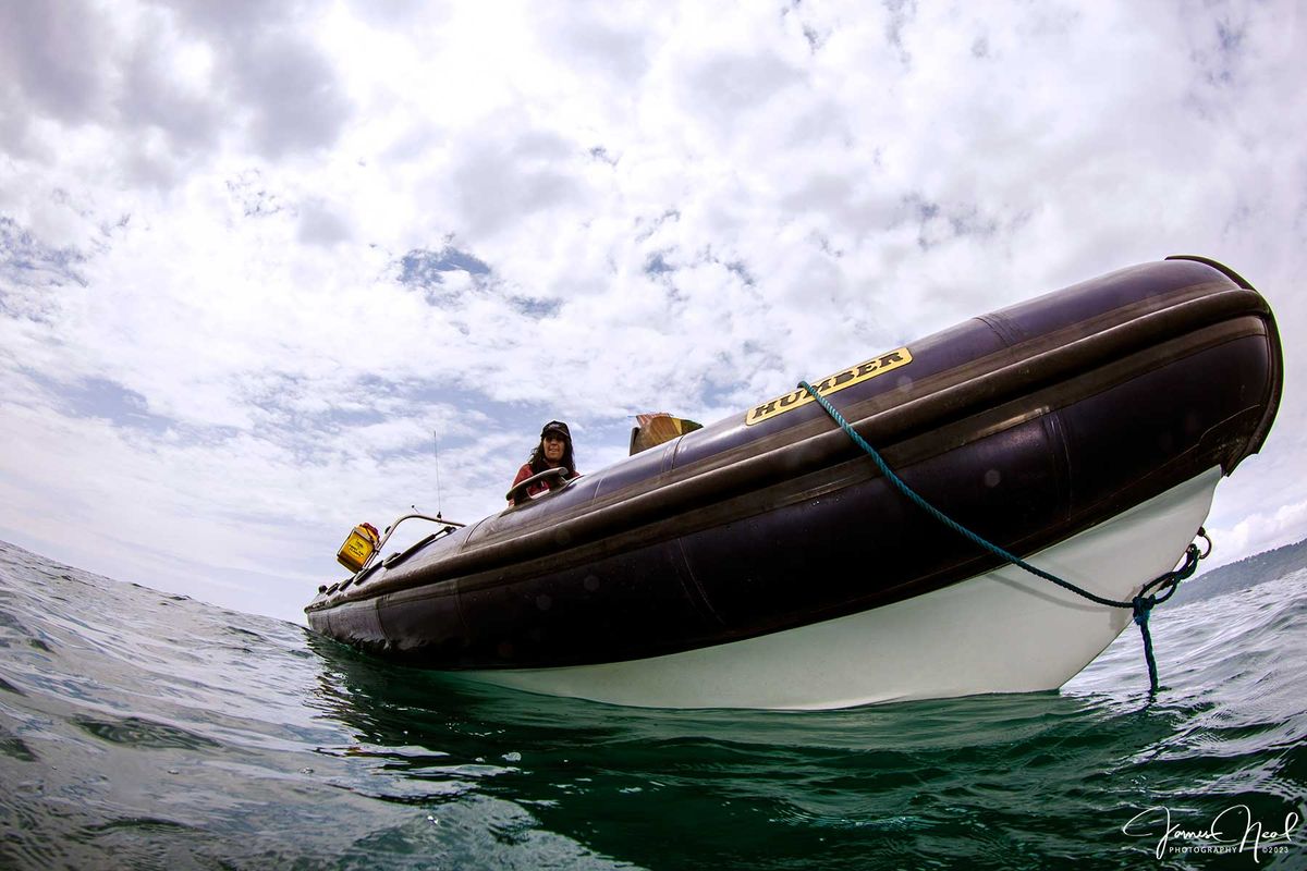 RHIB Diving - Plymouth