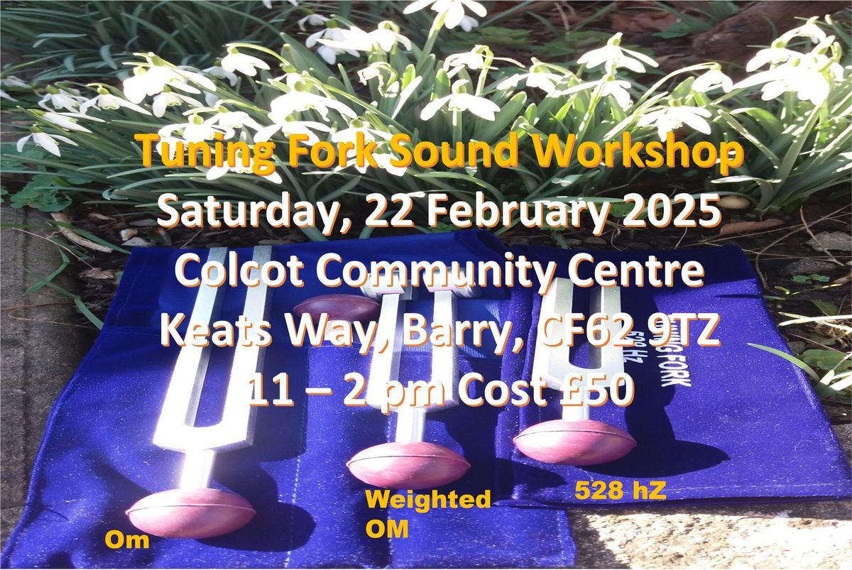 Tuning Fork Sound Workshop