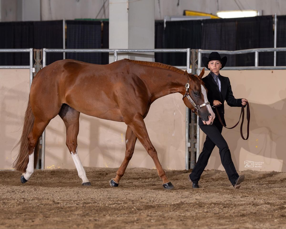 Showmanship Clinic