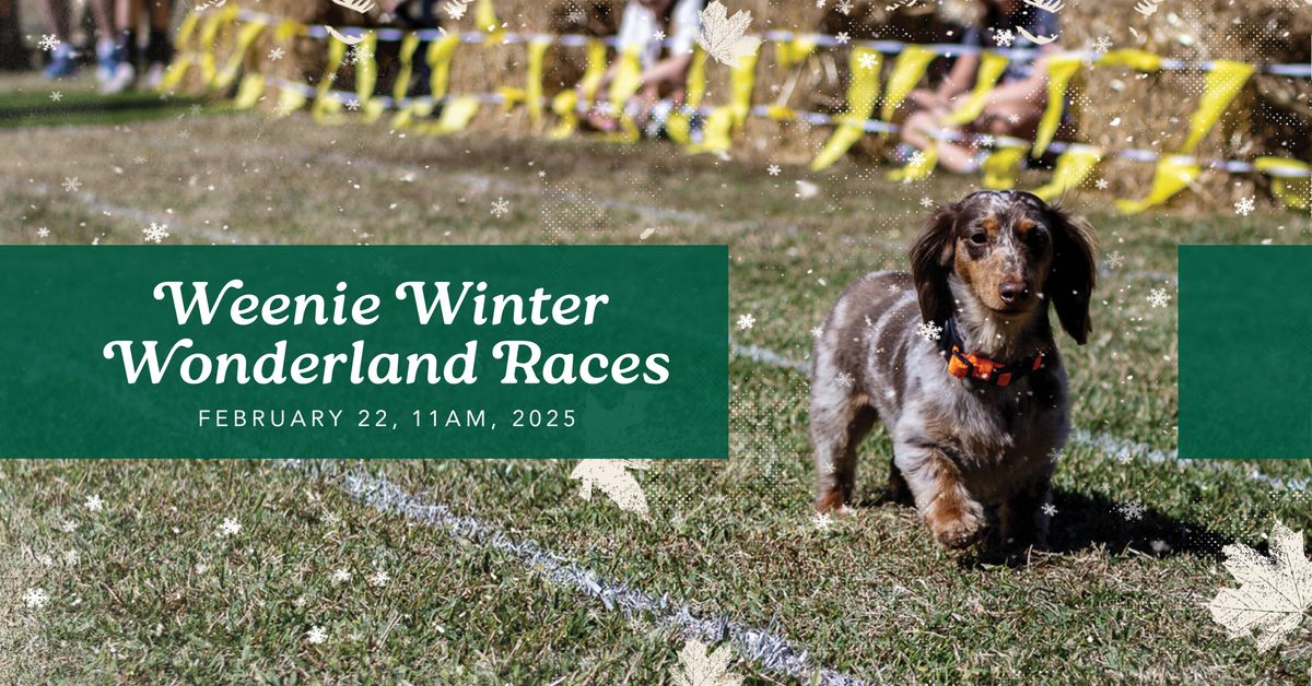 Weenie Winter Wonderland Races