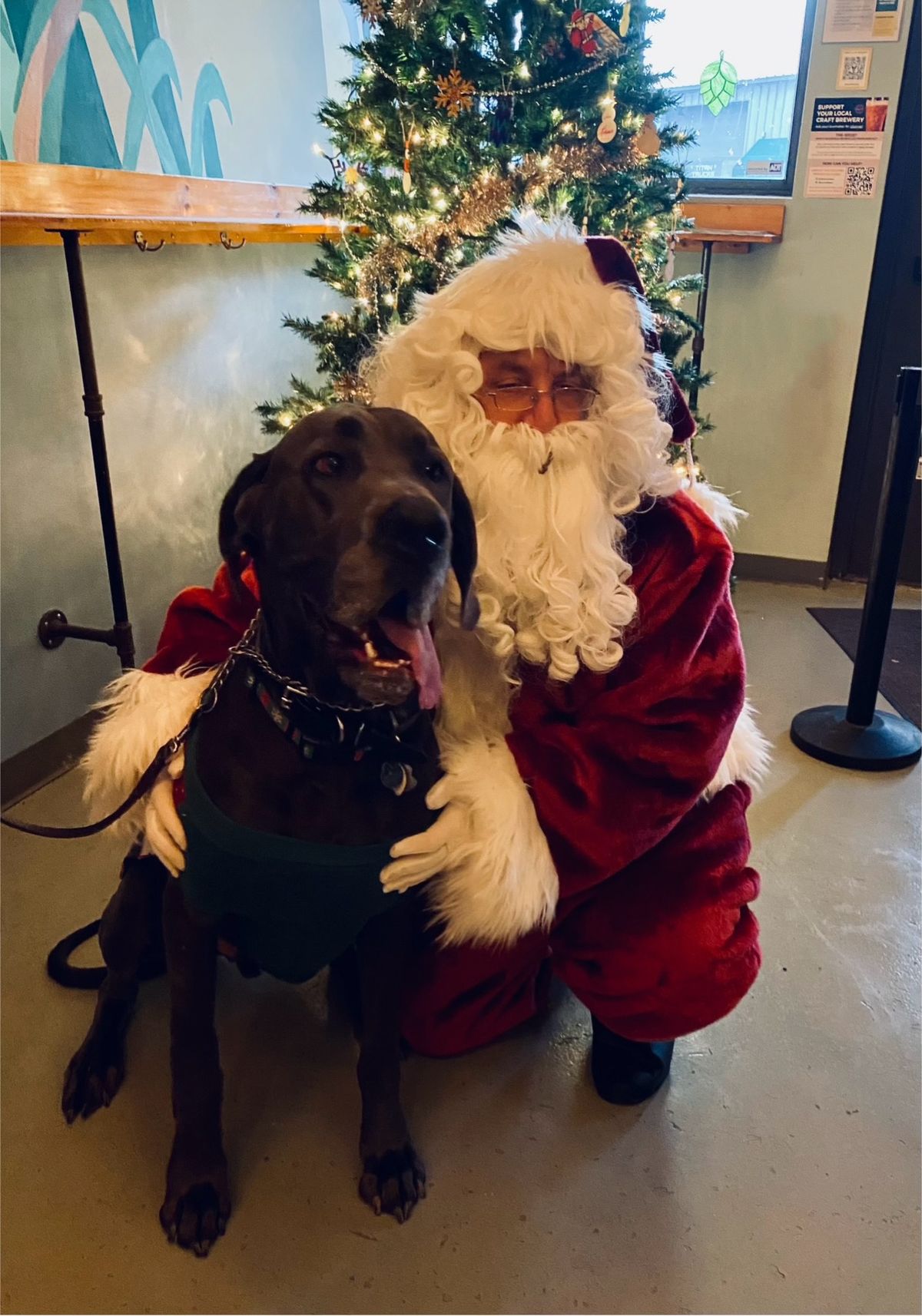 Dog Photos with Santa