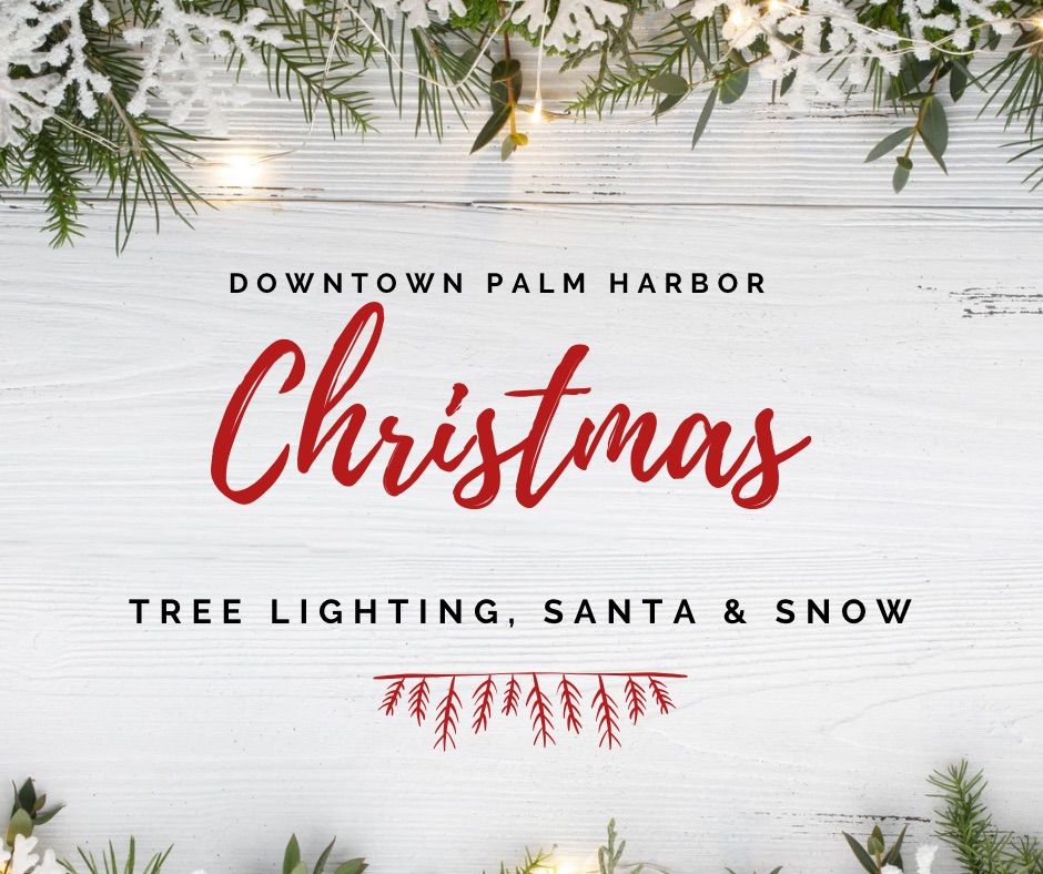 Downtown Palm Harbor Christmas Tree Lighting