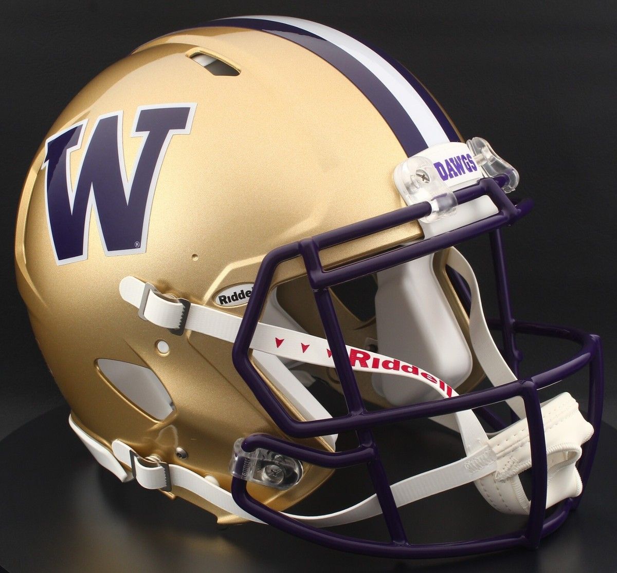 Illinois Fighting Illini at Washington Huskies Football at Husky Stadium-WA