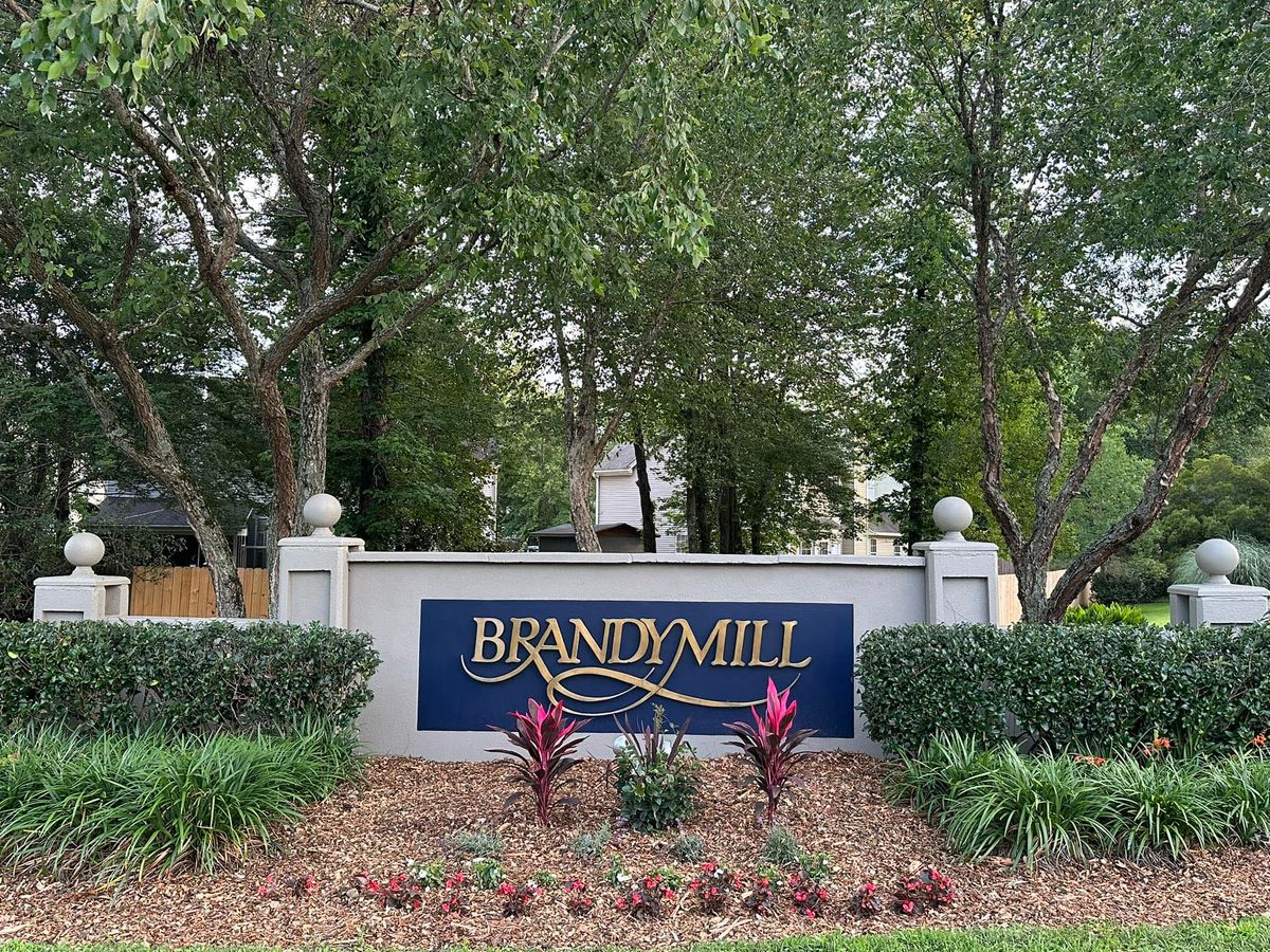 Brandymill HOA Bi-Monthly Board Meeting        