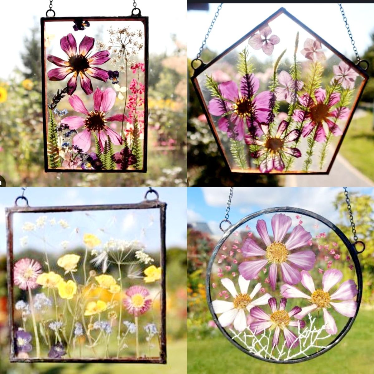 Pressed Flowers in Glass Workshop 