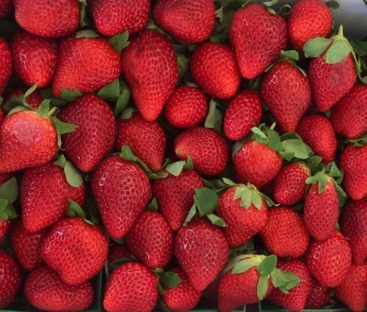5th Annual Strawberry Fest - Clay County Fairgrounds