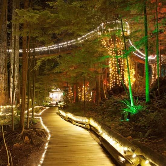 Vancouver: Capilano Suspension Bridge Park & City Tour