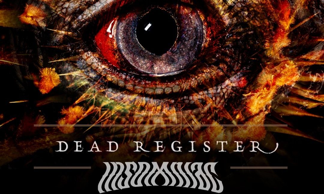 Dead Register and Insomniac 