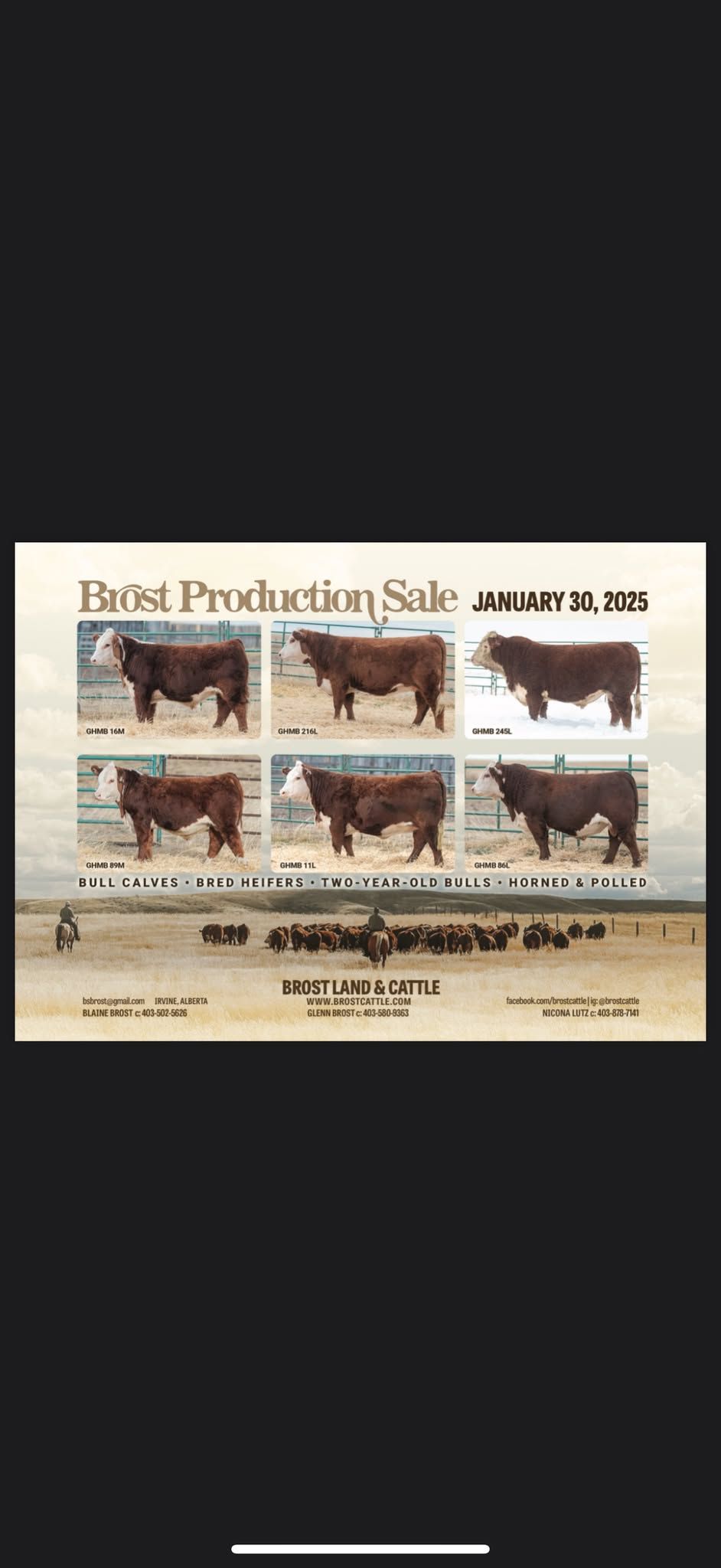 56th Annual Production Sale