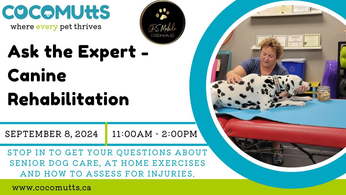 Ask the Expert - Animal Rehabilitation