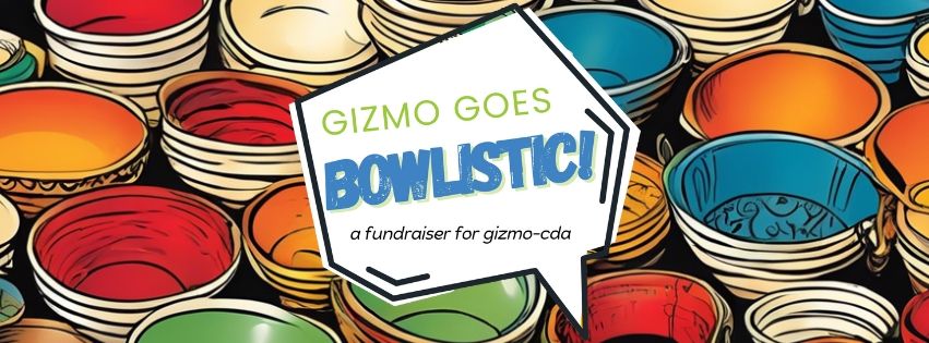 Gizmo goes Bowlistic! A fundraiser for gizmo-cda.