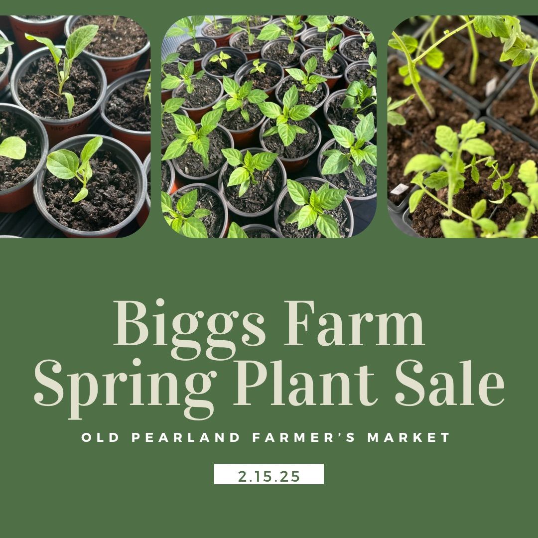 Biggs Farm Plant Sale at Old Pearland Farmers Market