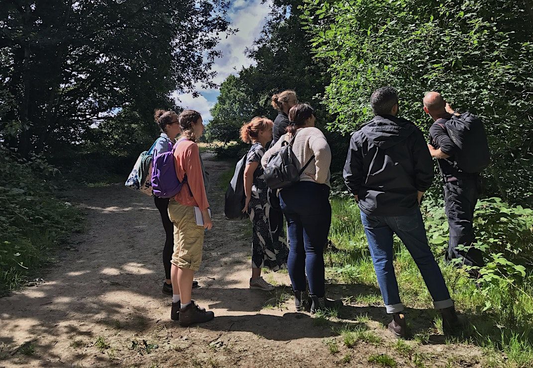 October Hampstead Heath (London) Wild Food Foraging/ Foragers Walk