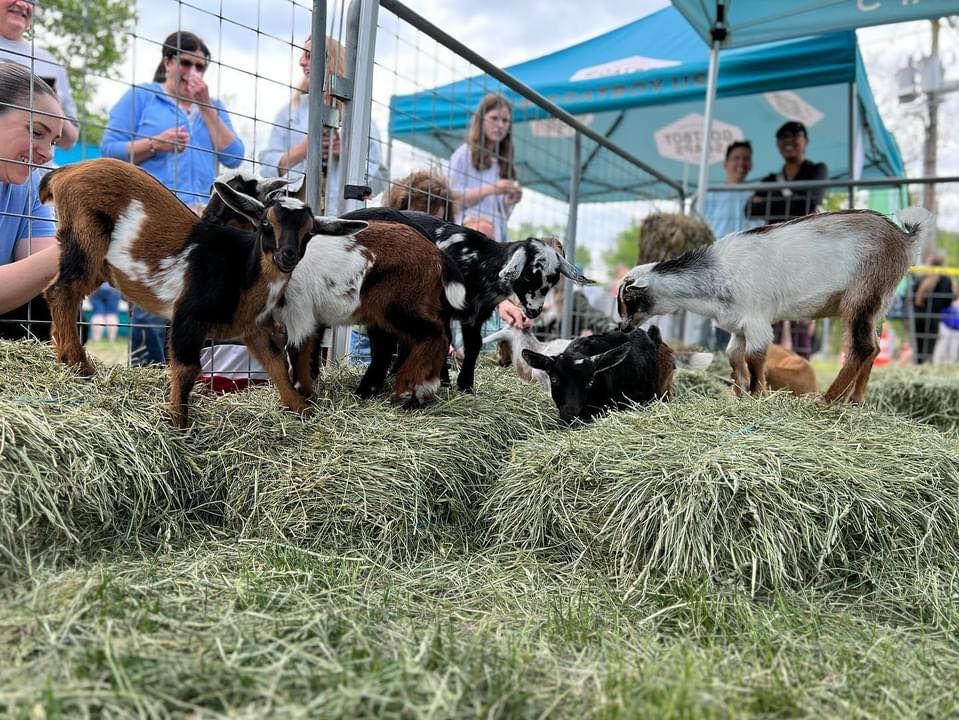 New Milford GOAT Days