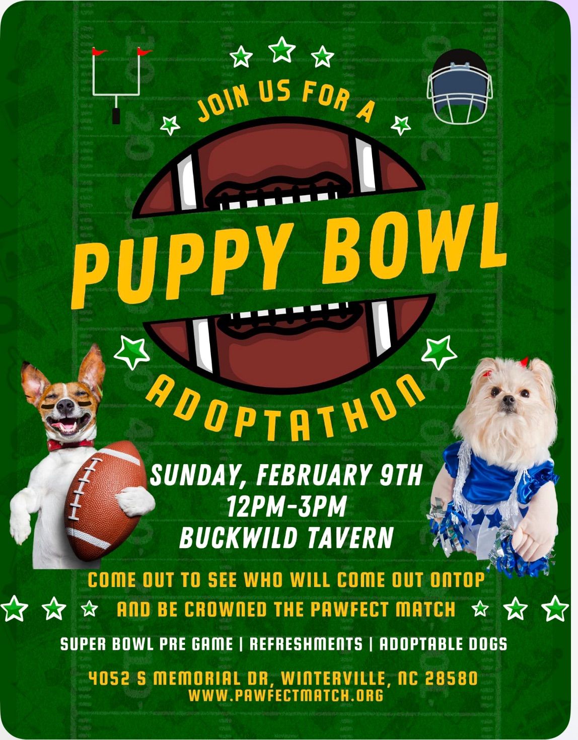 Puppy Bowl 