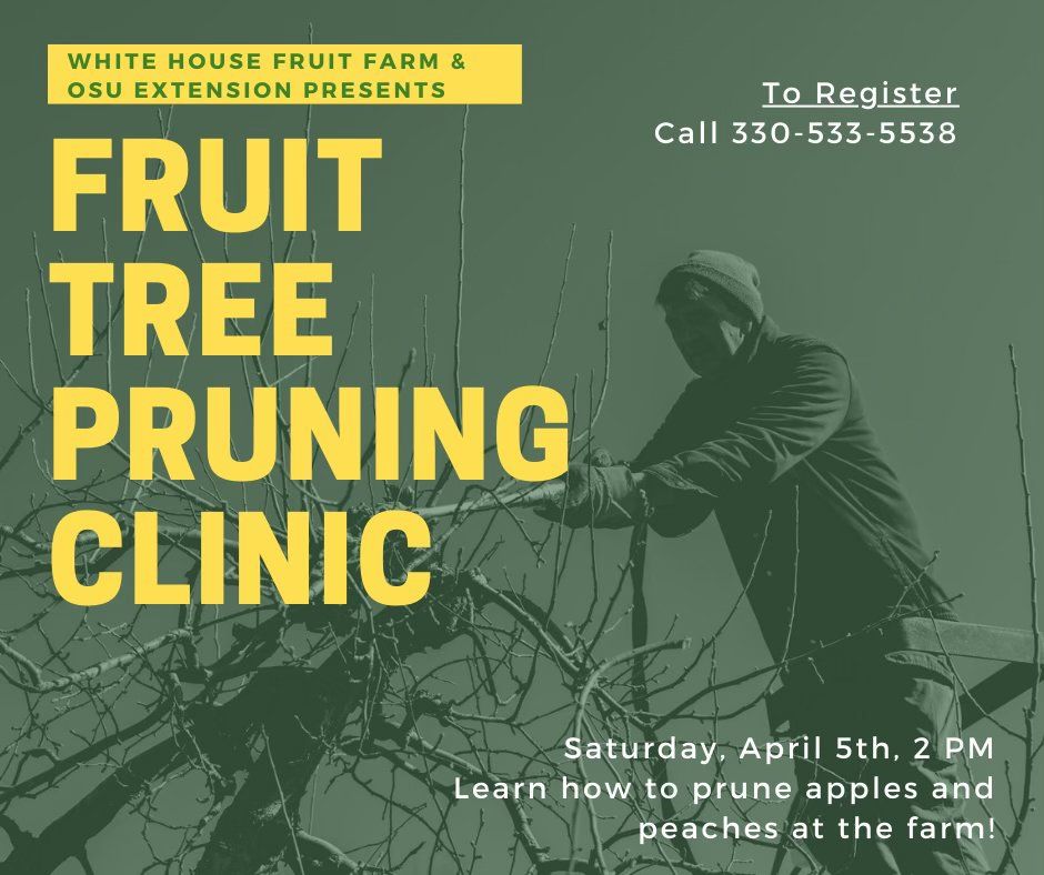 Fruit Tree Pruning Clinic