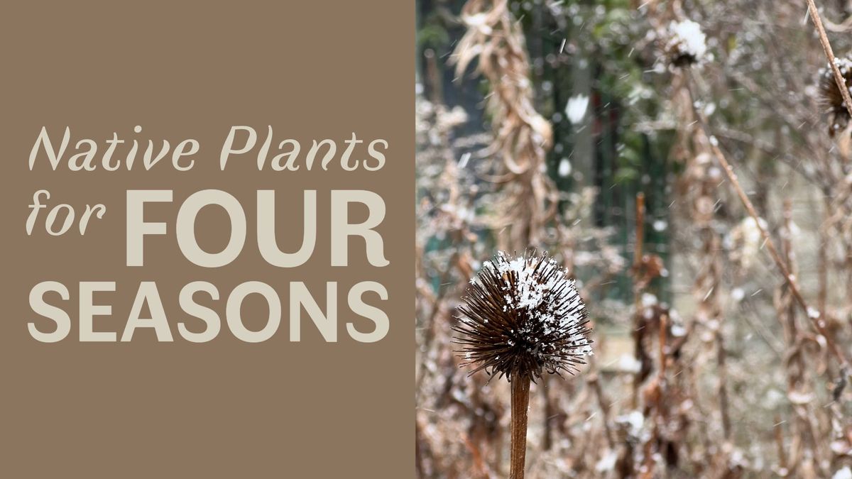 Native Plants for Four Seasons