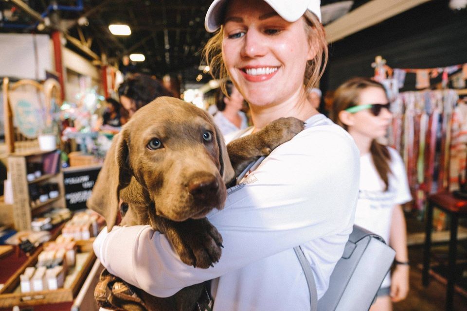 Puppy Brunch - by The Flamingo Flea