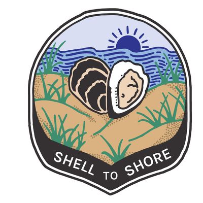 Shell to Shore