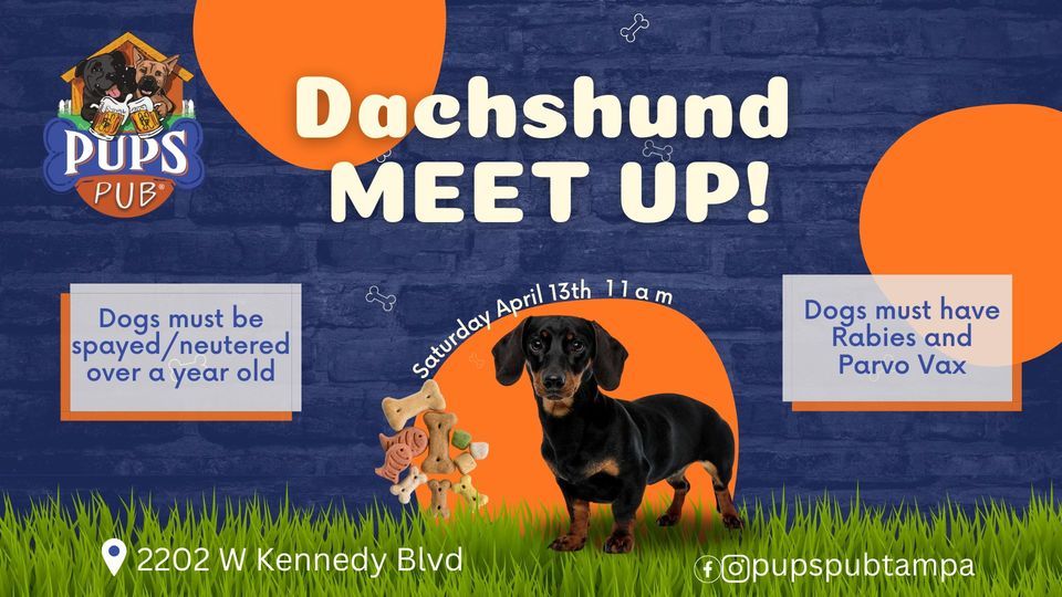 Dachshund Meet-Up at Pups Pub Tampa