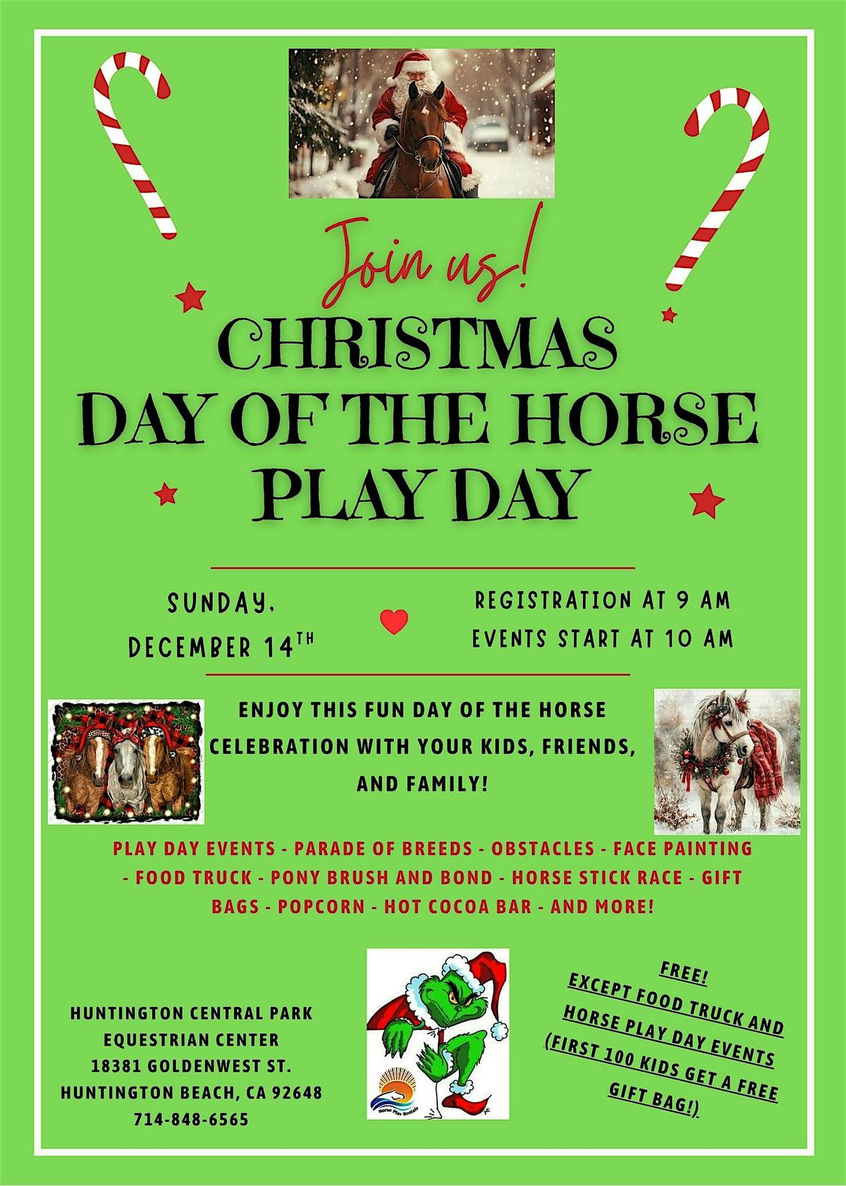 Christmas Day of the Horse Play Day