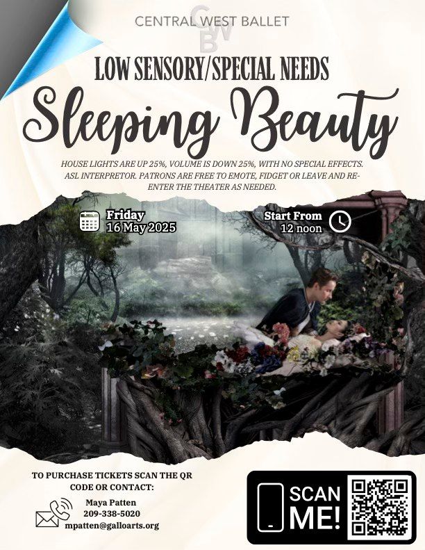 Sleeping Beauty Low Sensory\/Special Needs