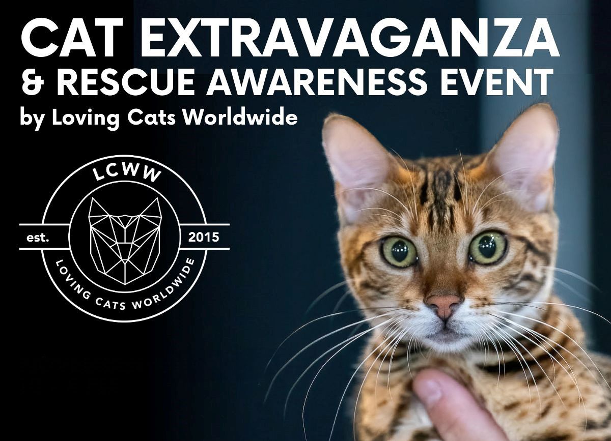 Cat Extravaganza and Rescue Awareness