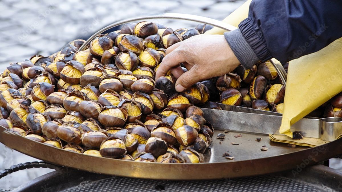 39\u00b0 Sagra della Castagna. Salza Irpina (AV) 