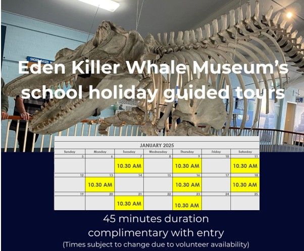 Eden Killer Whale Museum's school holiday guided tours