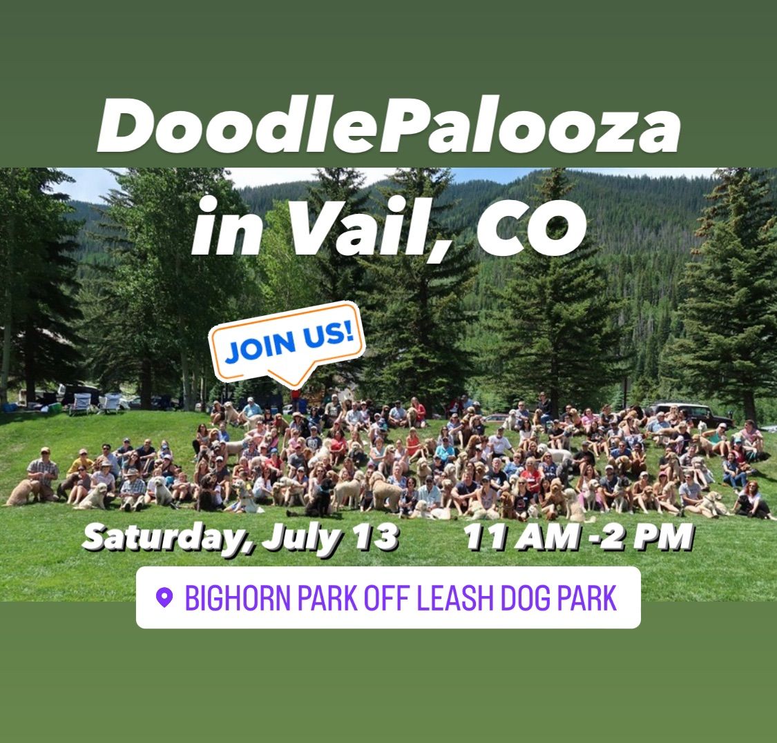 DOODLEPALOOZA in Vail Doodle Romp