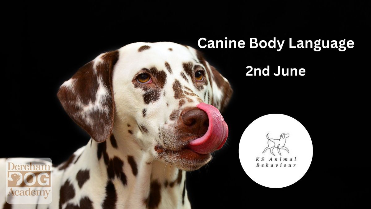 Canine Body Language with KS Animal Behaviour