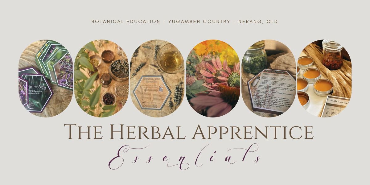 The Herbal Apprentice - Essentials 