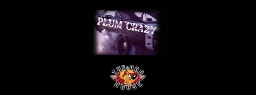 PLUM CRAZY -Live