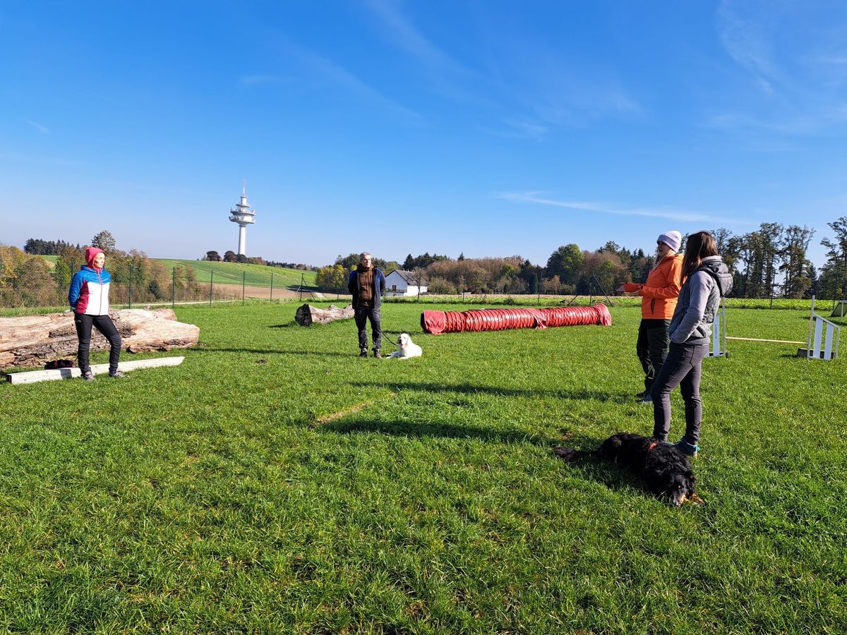 "K\u00f6rpersprachlich orientierter, ganzheitlicher Hundecoach" Ansfelden 