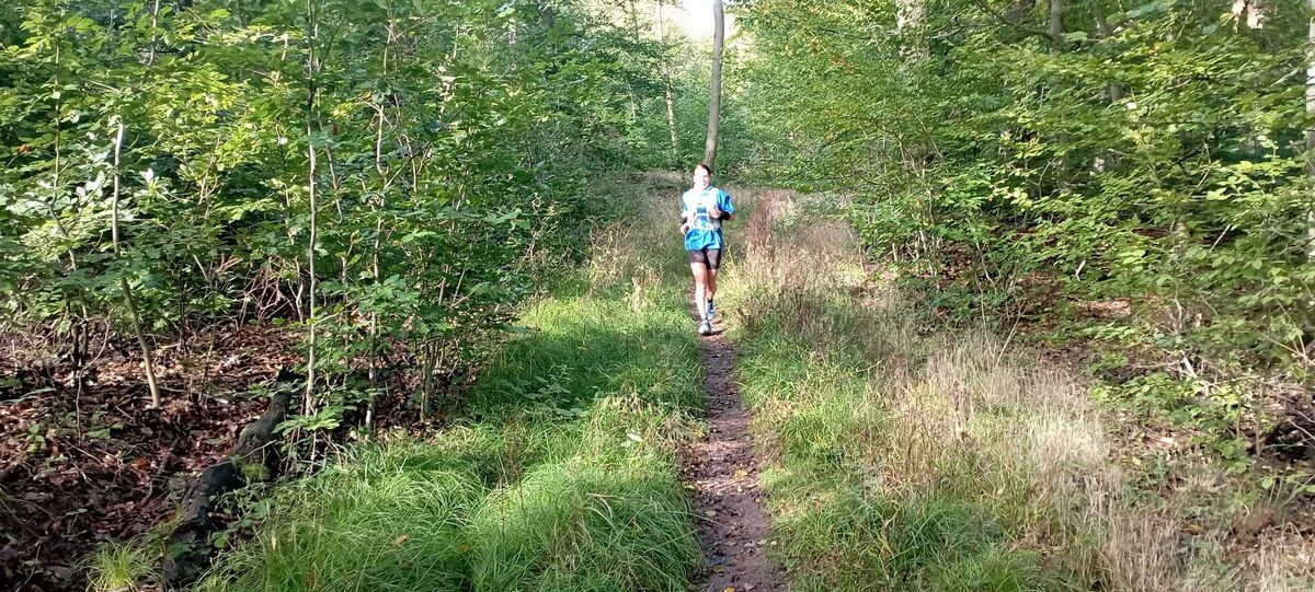 3. Ostwaldtrail 47,4Km mit 540Hm