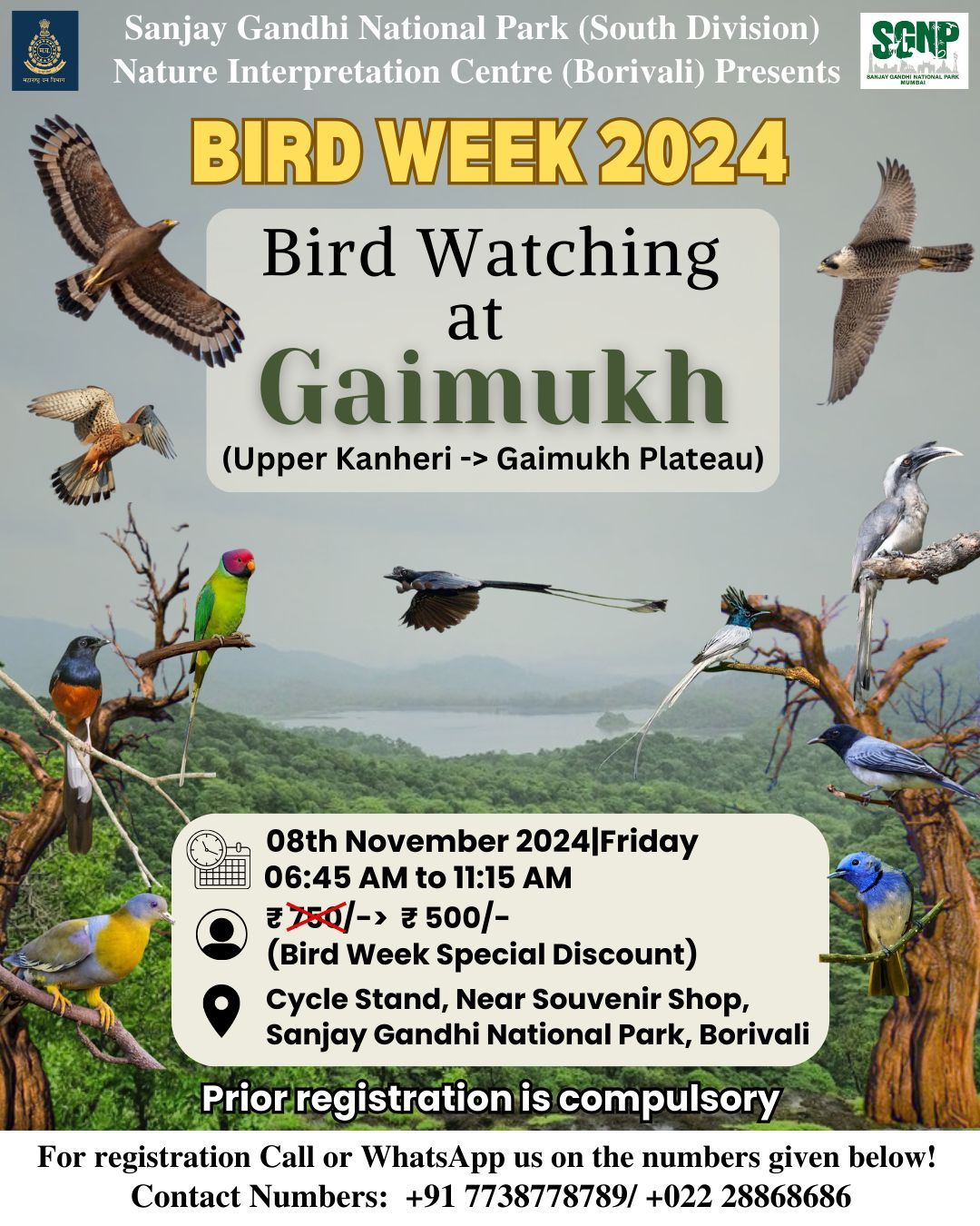 Bird Week Special Bird Watching at Gaimukh 