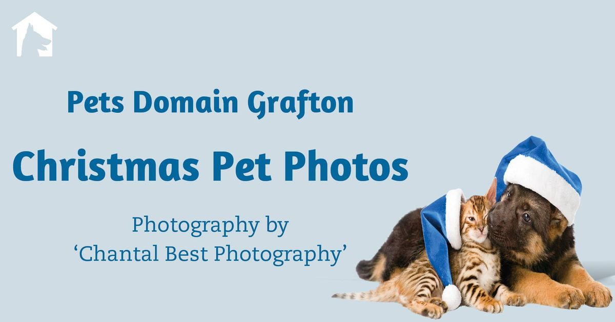 Christmas Pet Photos