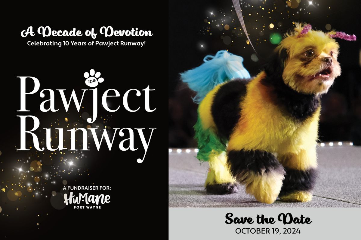 Pawject Runway 2024