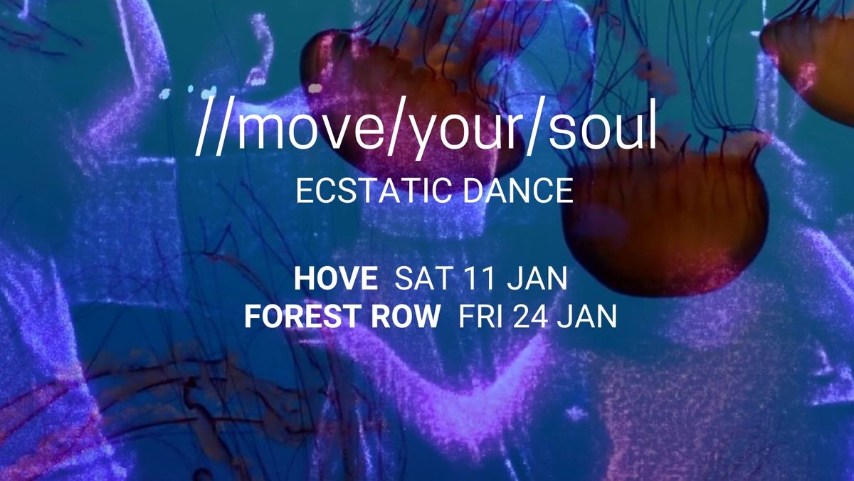 ECSTATIC DANCE HOVE \/ somatic meditations \/ breathwork \/ ceremonial cacao \/ eclectic beats