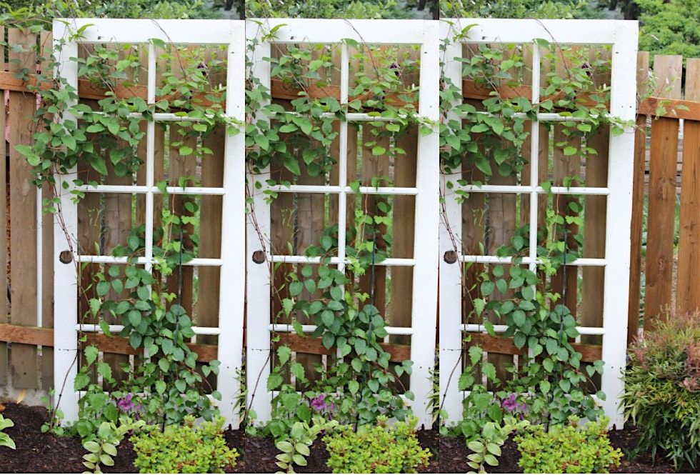 DIY Reclaimed Trellis